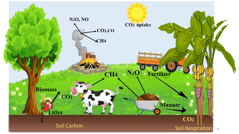 Carbon footprint and Agriculture